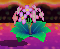File:KTD Pop Flowers Endless Explosions.png