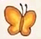 IKT5 Butterfly Illustration.png