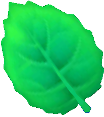 File:KTD Mint Leaf model.png
