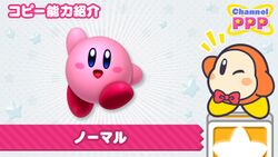 Channel PPP - Normal Kirby.jpg