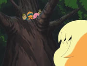 Tiff catches the kids in the Cappy Town tree.