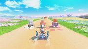 Fourth Road Section for Mega-Blossom Meadow
