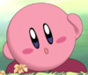 E95 Kirby.png