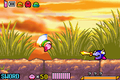 Kirby appears to contend with Meta Knight at Radish Ruins