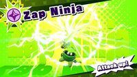 Zap Ninja