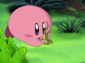Kirby trying to catch a lizard