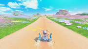 First Road Section for Mega-Blossom Meadow