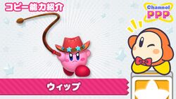 Channel PPP - Whip Kirby.jpg