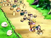 Mabel leads her flock past the sheep as they head out to the sea.