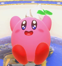 KDB Kirby emote 2 screenshot.png