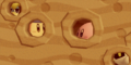 Four friends peeking through