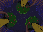 Three of Whispy's descendant trees