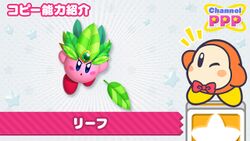 Channel PPP - Leaf Kirby.jpg