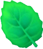 KTD Mint Leaf model.png