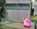 Infamous 1993 Bandai-Namco Kirby plush with the Star Rod, sitting by the HAL sign.