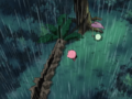 Kirby saves the egg and himself from a falling tree.