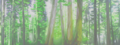 Background (forest)