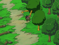 King Dedede cuts down Whispy Woods Forest