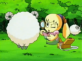 Tiff conducts an exhaustive search for the sheep that attacked Kirby.