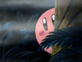 Kirby is sent to find out what is happening in the woods.