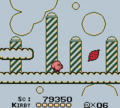 Kirby approaching a Mint Leaf in Kirby's Dream Land