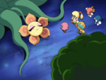 The Flower Plot - WiKirby: it's a wiki, about Kirby!