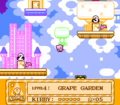 A portion of the level hub from Kirby's Adventure