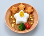 Kirby Cafe Hypoallergenic Star curry.jpg
