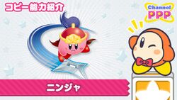 Channel PPP - Ninja Kirby.jpg