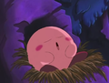 Kirby sleeping in his nest