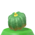 Pumpkin (green)
