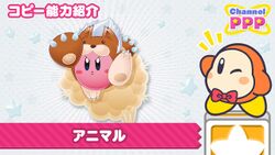 Channel PPP - Animal Kirby.jpg