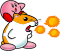 Kirby's Dream Land 2 (Burning + Rick)