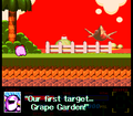 Meta Knight sets Grape Garden as the Halberd's first target as Kirby is left behind.