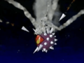Togeira being defeated by its own needle missiles