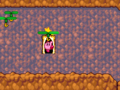 The Kirbys enter the door to the side chamber hidden between propeller weeds